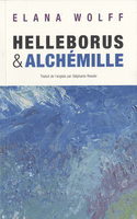 Helleborus et Alchémille
